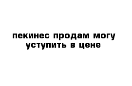 пекинес продам могу уступить в цене